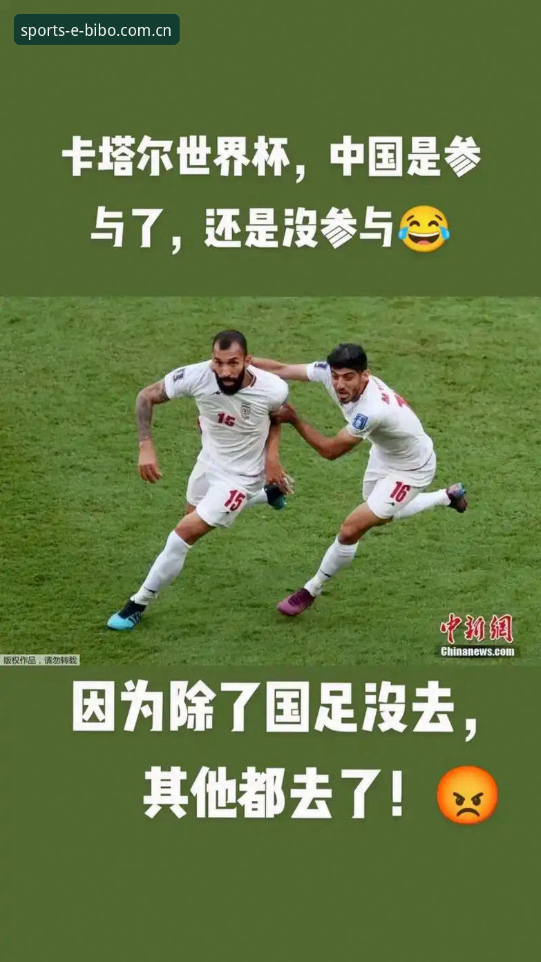 世界杯观赛之旅受阻？掌握签证应对策略的实用指南